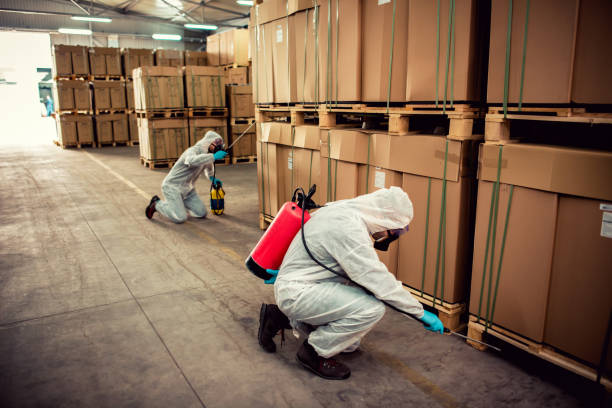 Best Best Pest Control Companies  in Norwalk, IA