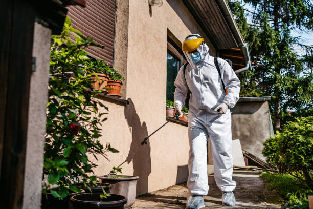 Professional Pest Control in Norwalk, IA