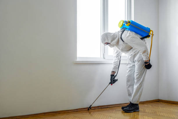Best Wasp Removal Services  in Norwalk, IA