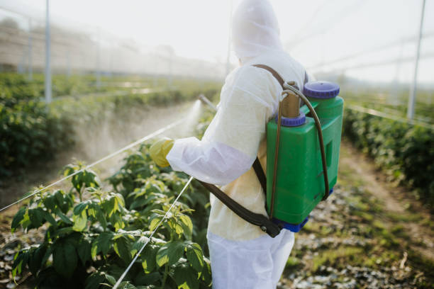 Best Bed Bug Extermination  in Norwalk, IA